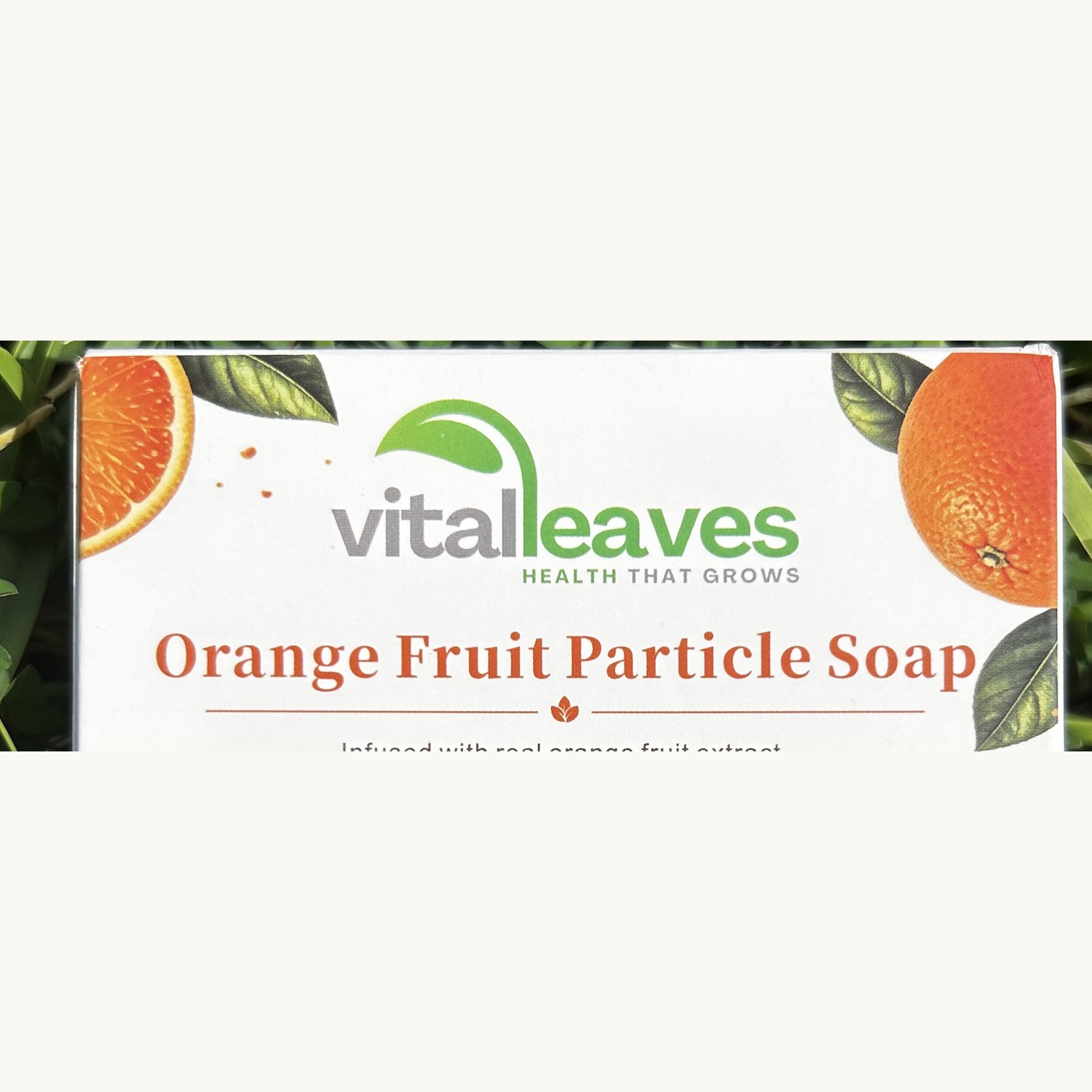 VitalLeaves Citrus Glow Orange Fruit Particle Soap packaging showing the VitalLeaves brand and product name
